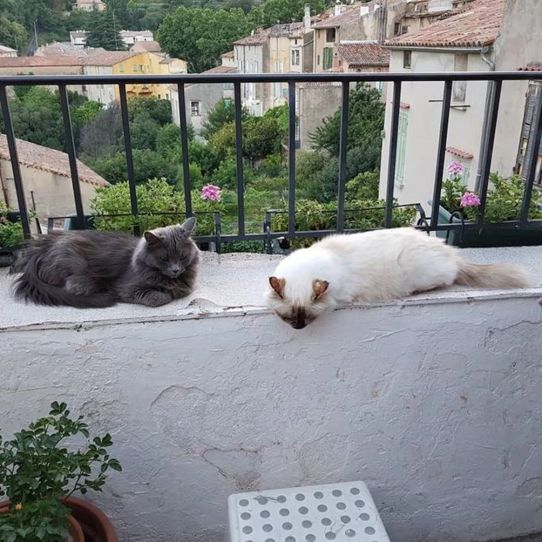 Chambre d'hôtes et petit déjeuner