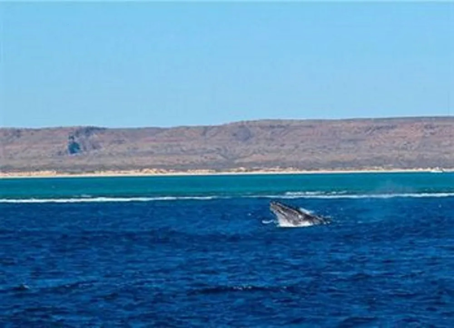 Golden Chain Sea Breeze Resort