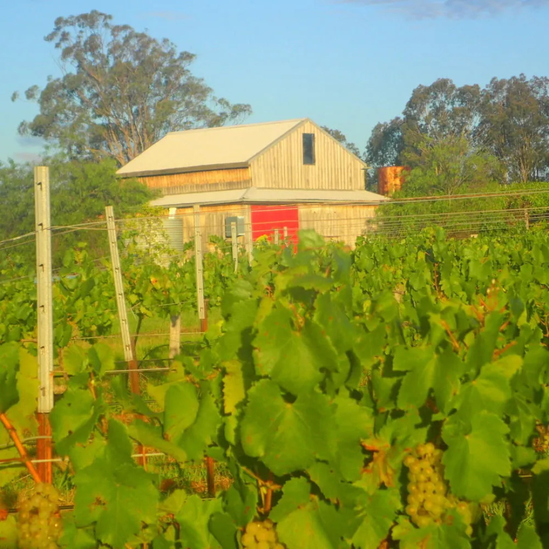 Red Door Collective - RDC Estate