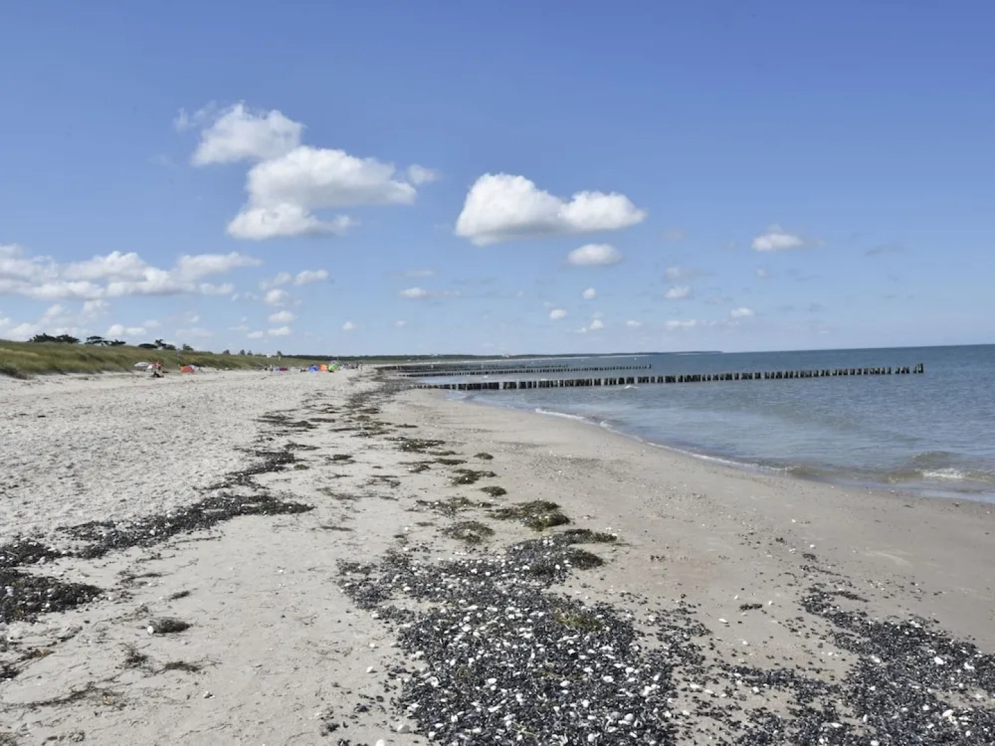 Modern Holiday Home in Ribnitz-damgarten Amidst Forest
