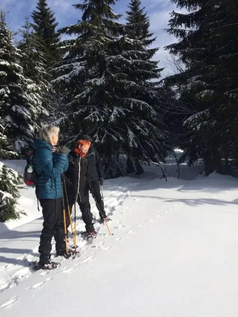 Landferienhaus Linde