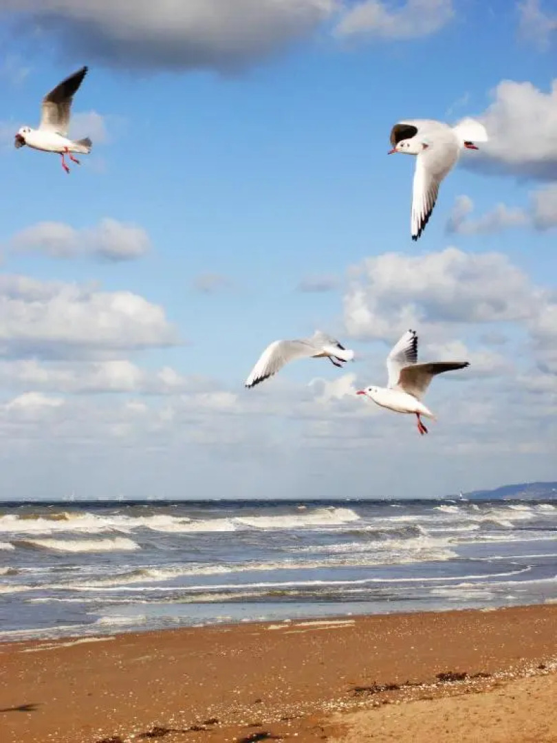 La Romance et la Romanesque