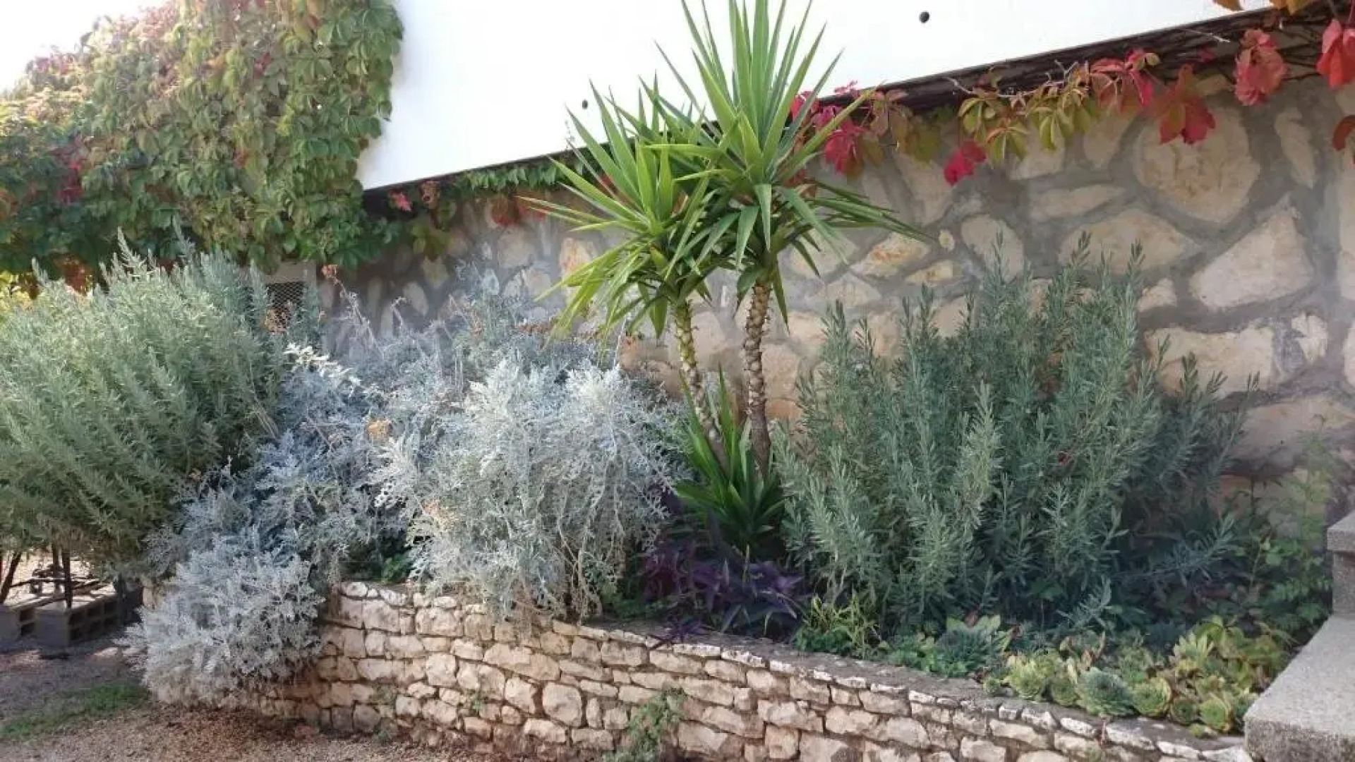 Apartment Gašparević