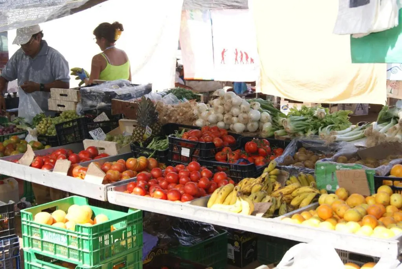 Los Nietos Apartment