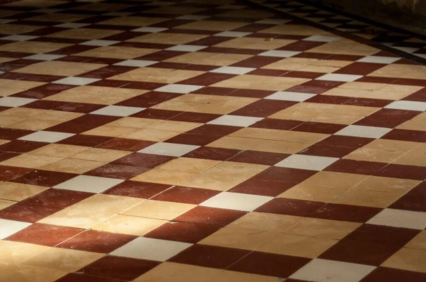 The Scriptorium Garden