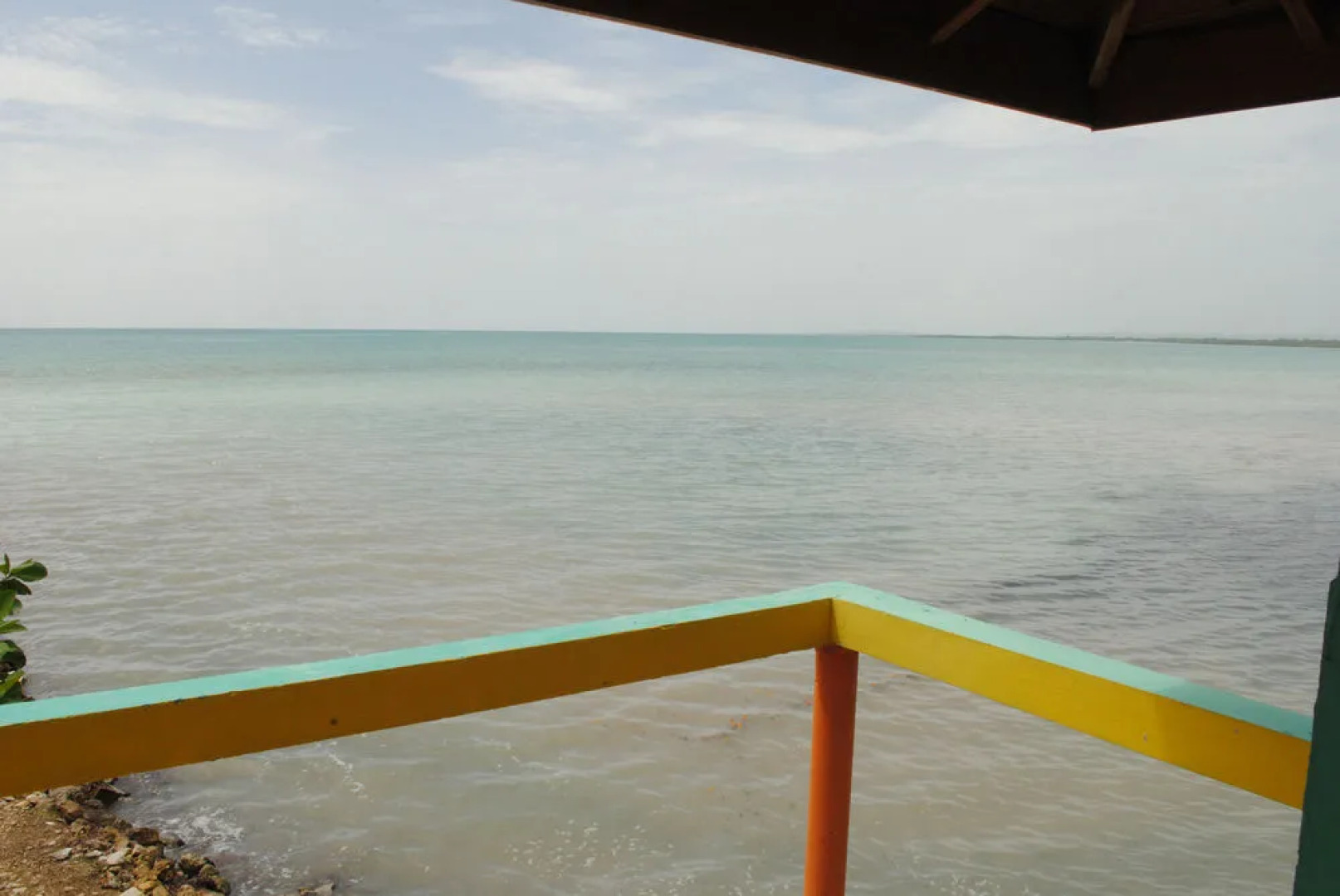 Bluefields on the Bay