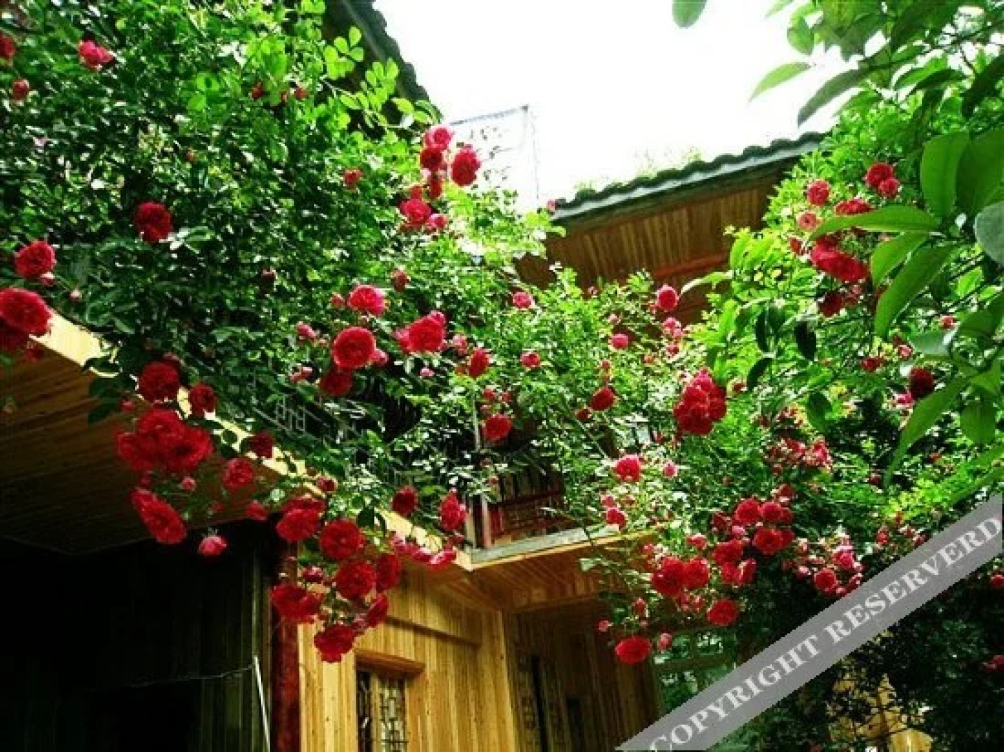 Ya'an Shangli Moziwan Inn