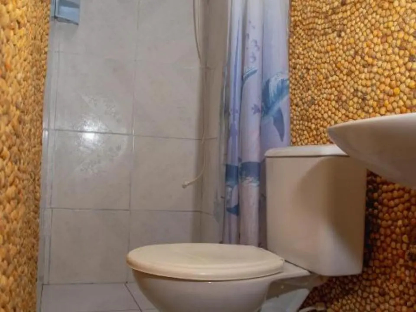 Pousada Vitoria Do Lopes