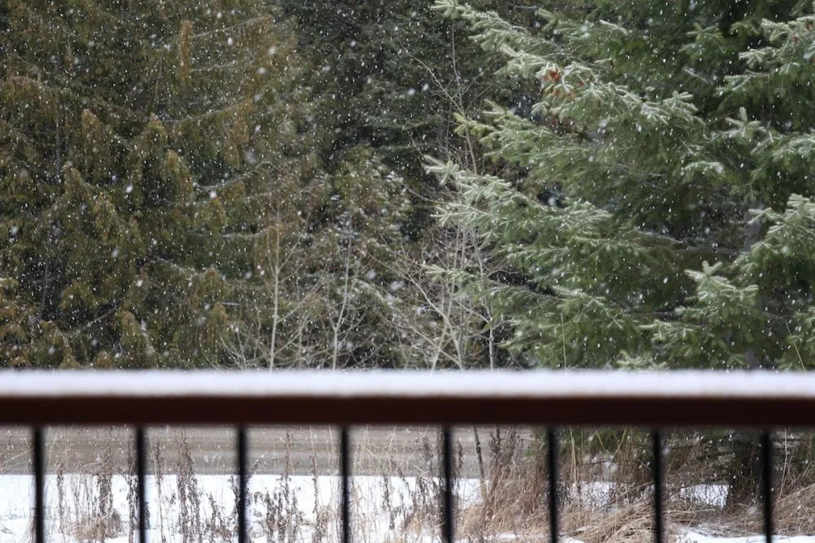 Timberline Lodges by Fernie Lodging Company