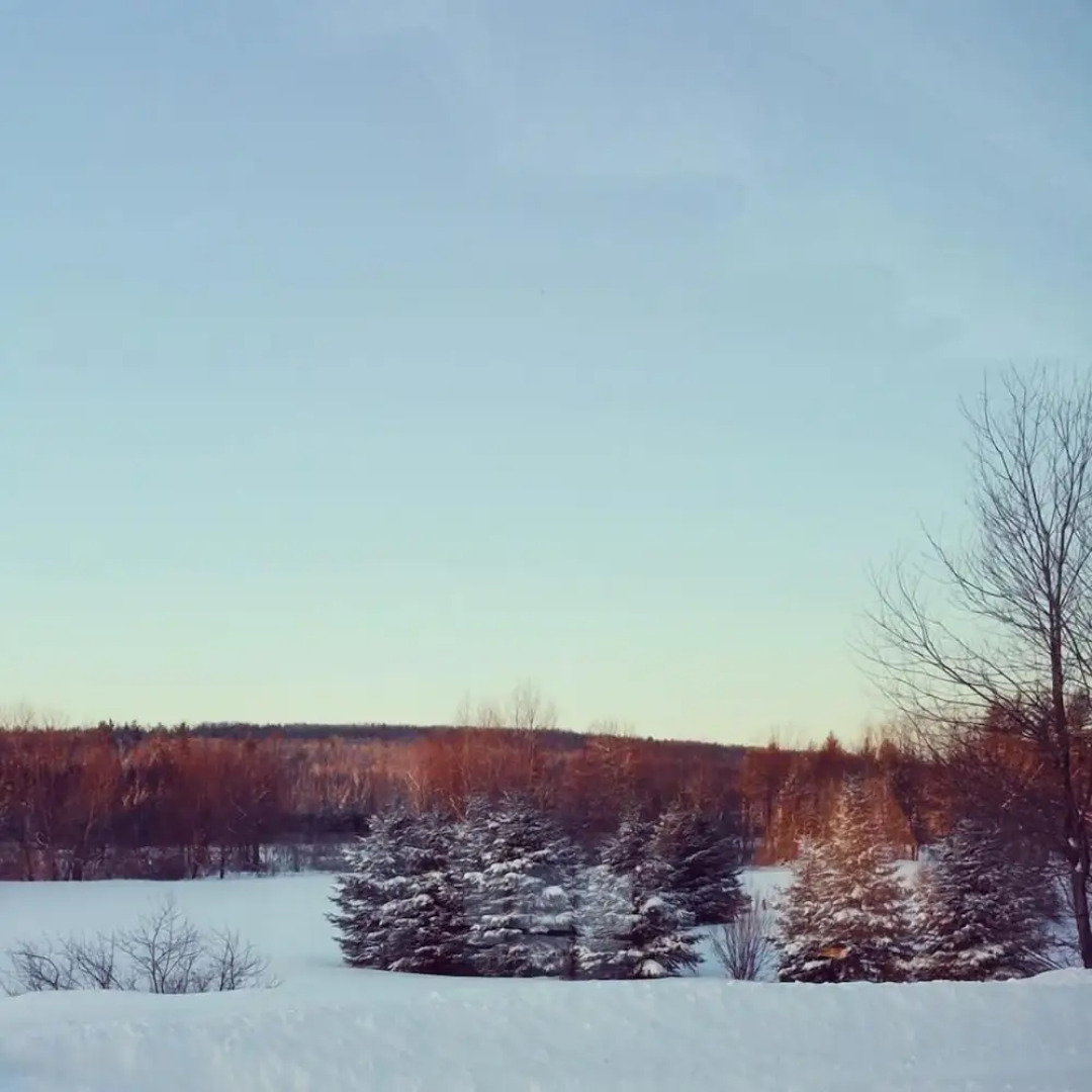 Spillover Motel and Inn