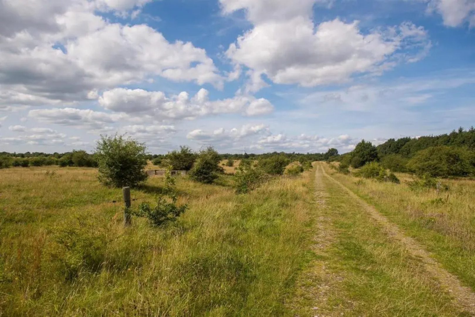 Feddersen's Ferienwohnung