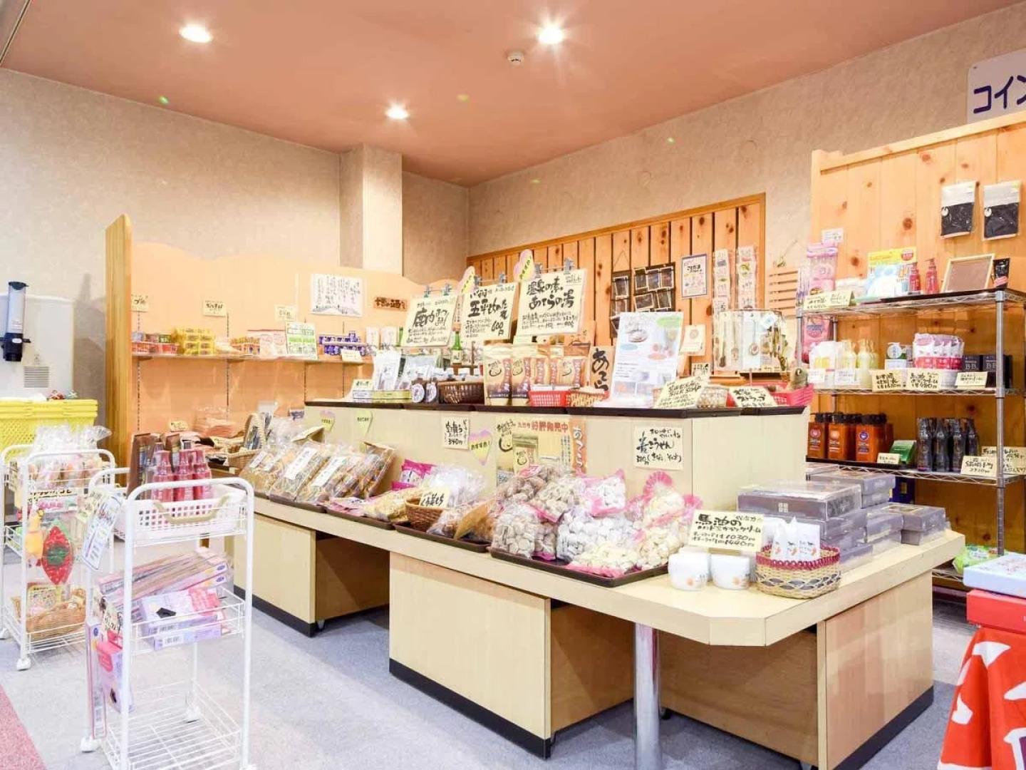 Forespa Kiso Atera Ryokan