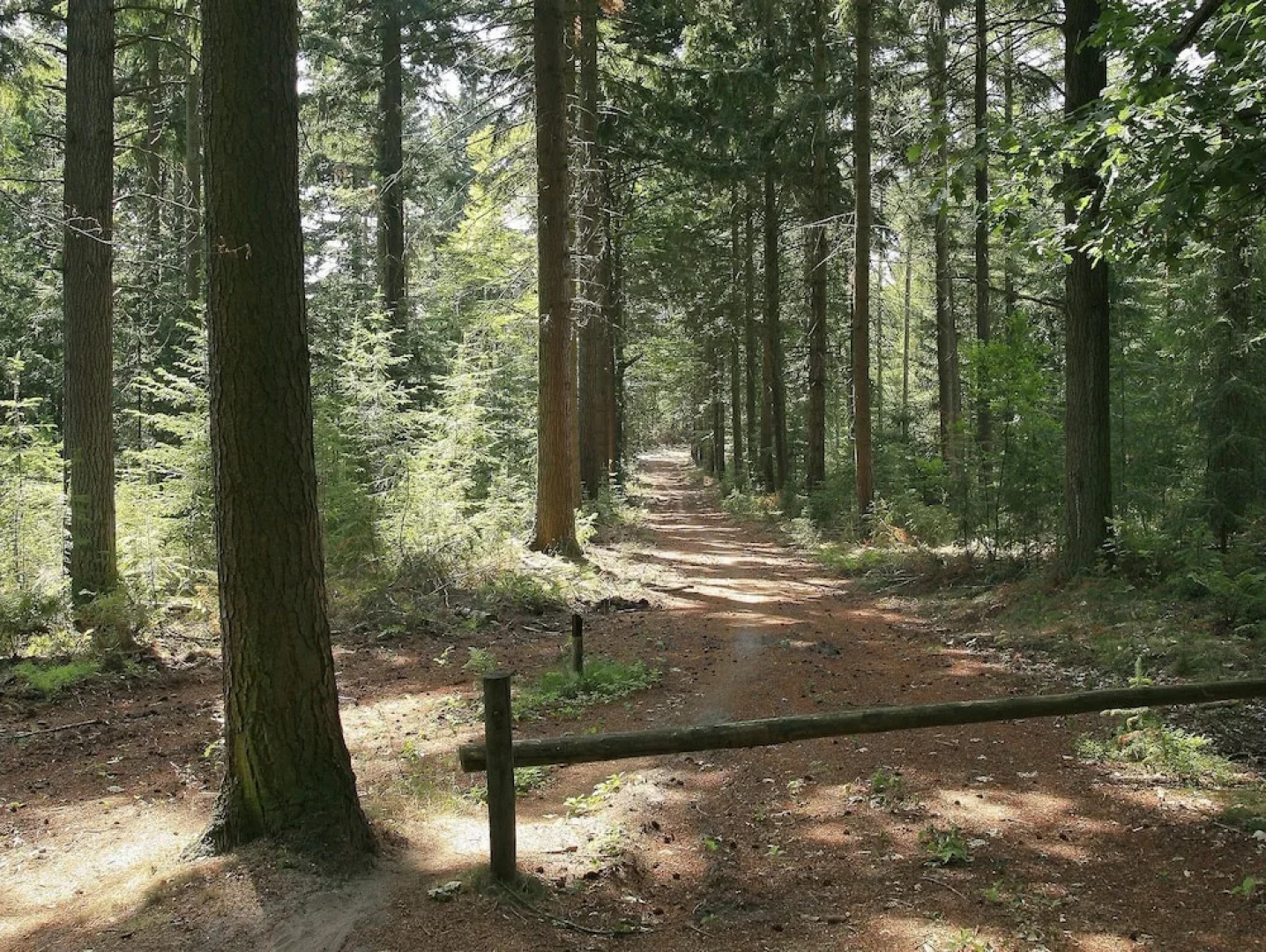 Beautiful Holiday Home in Heino with Swimming Pool