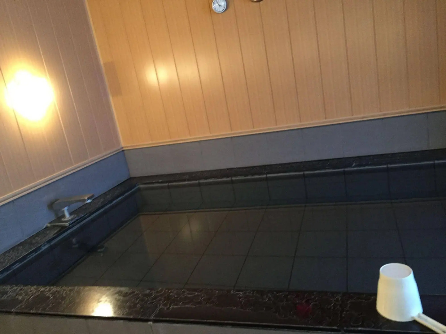 Hotel Crown Hills Toyokawa