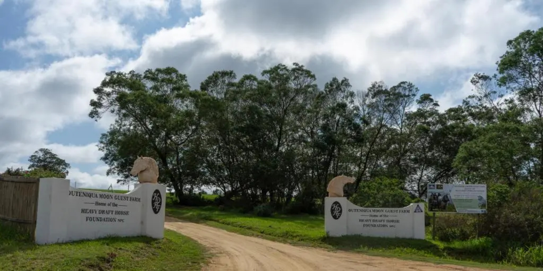 Outeniqua Moon Percheron Stud