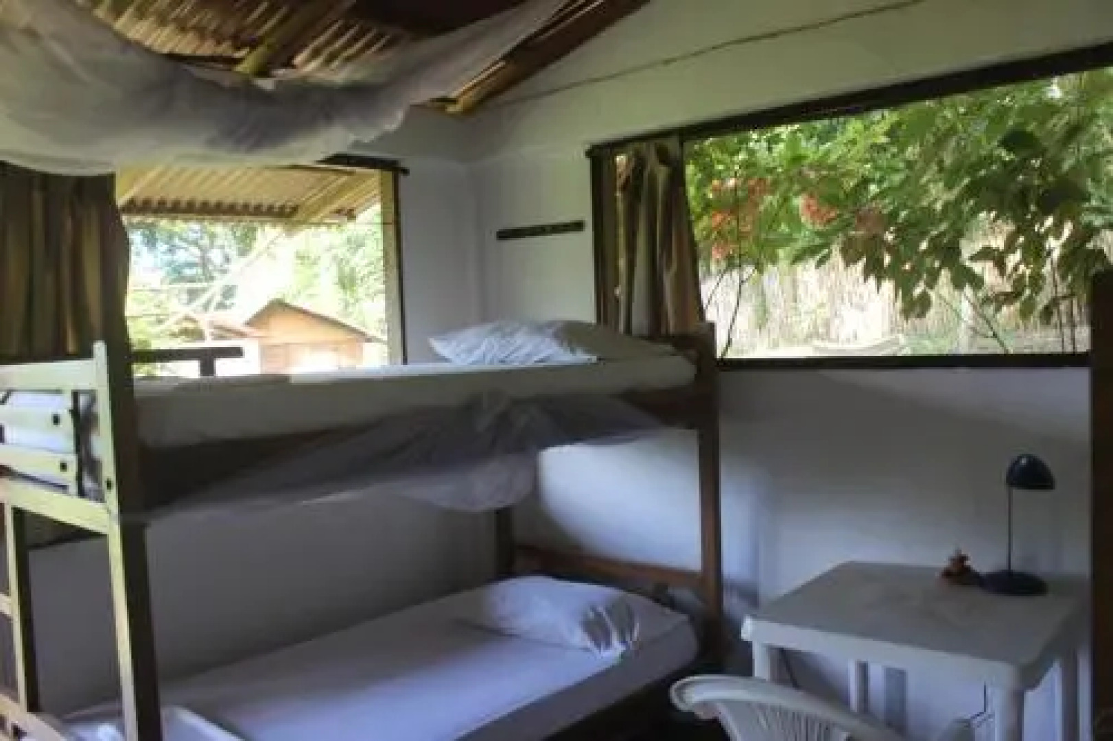 Jaguar Azul Palomino