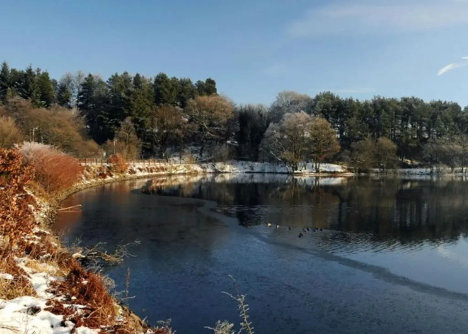 The Strawbury Duck Inn