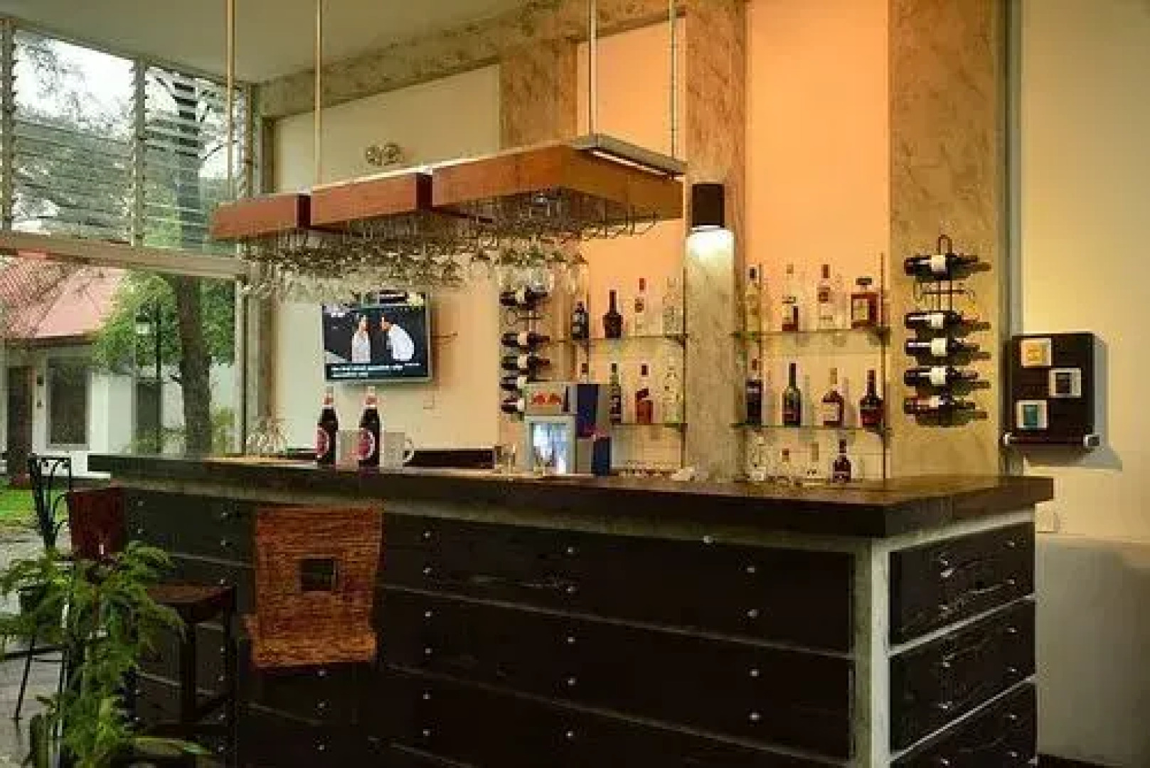 Oak Ray Elephant Lake