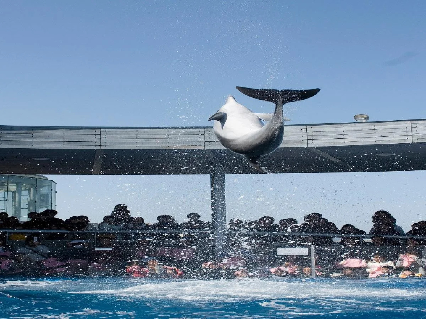 Dormy Inn Oita Hot Springs