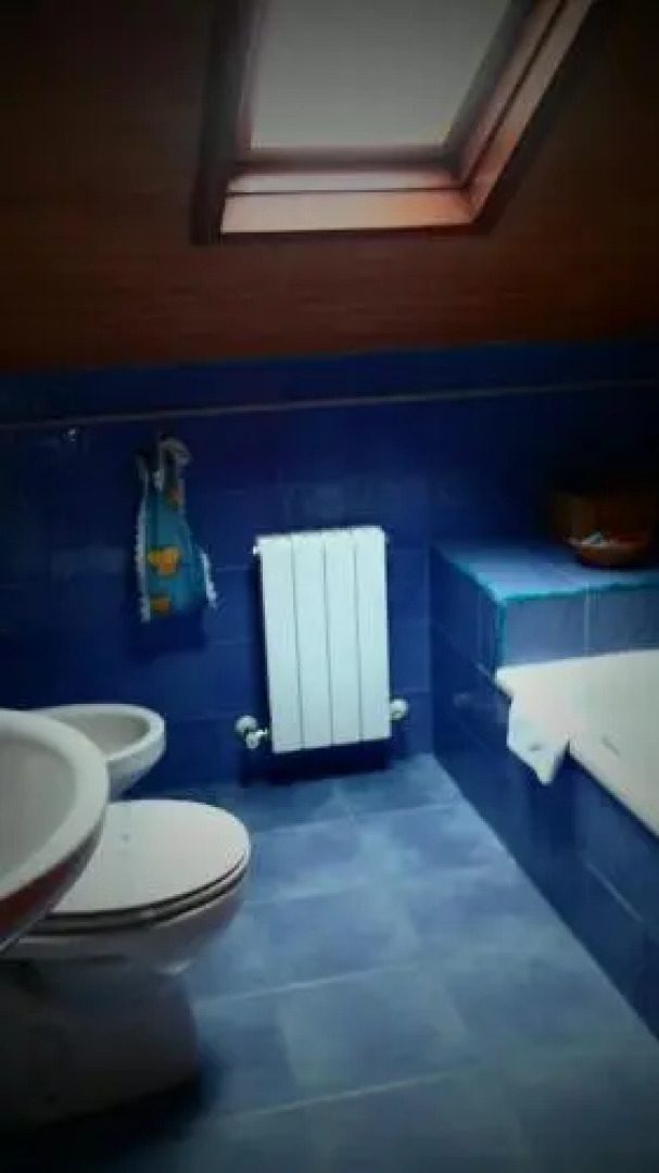 Apartamentos Las Camelias