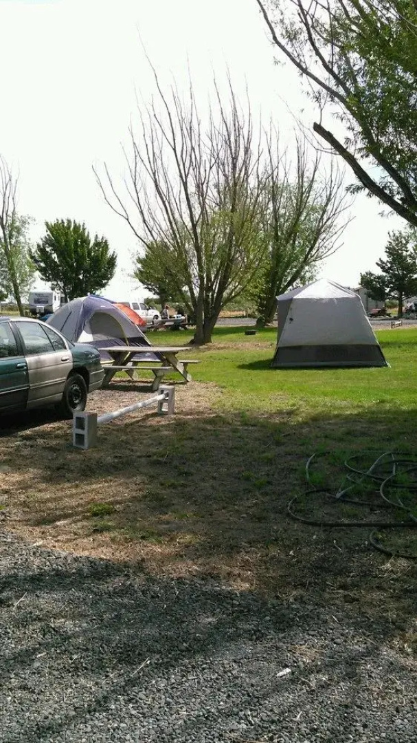 Sunny Springs Resort & Campground