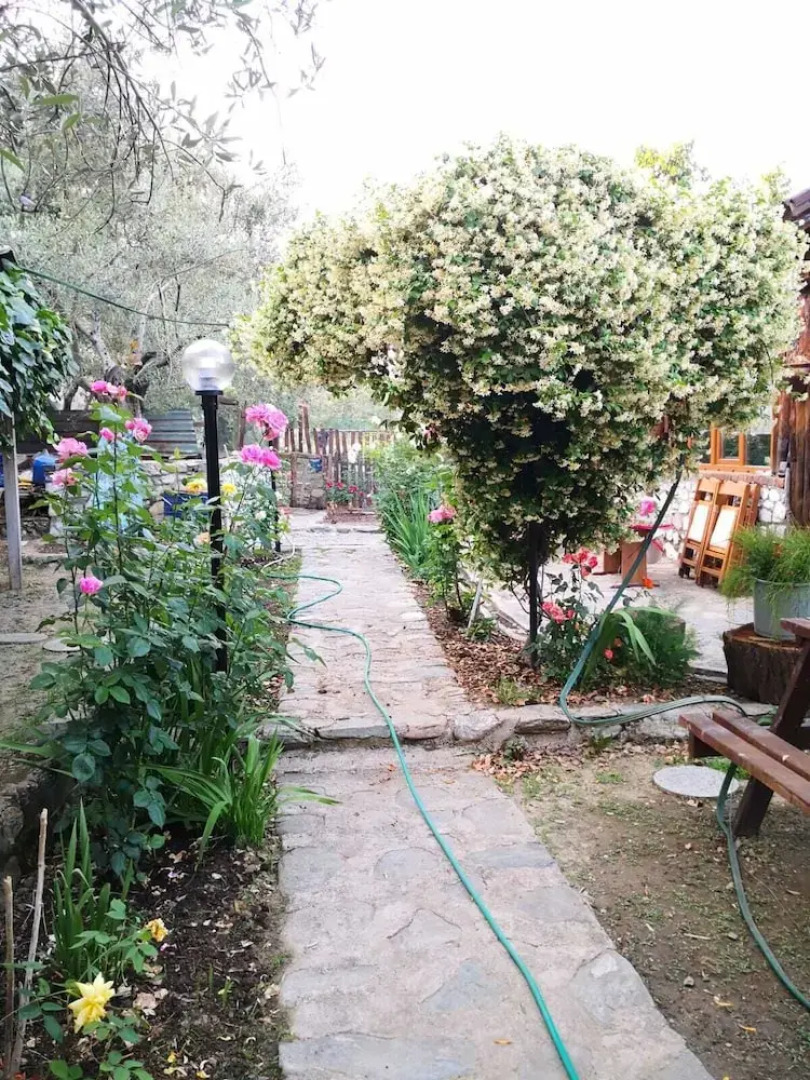 ZeytinDagi Bungalow Butik Otel