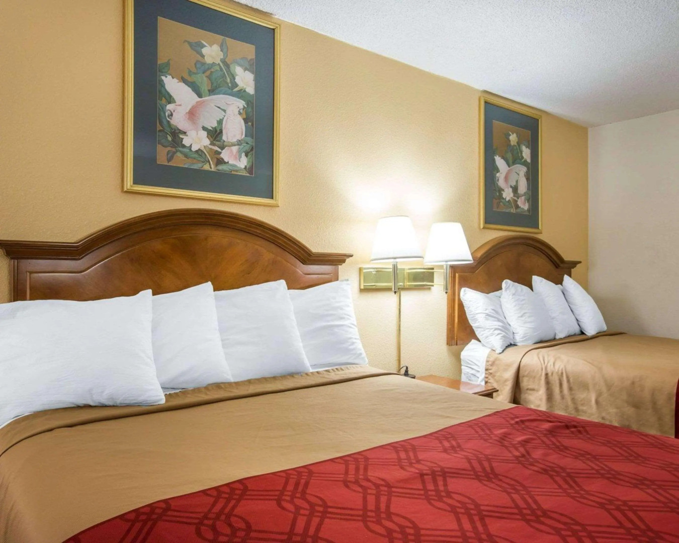 Econo Lodge  Inn & Suites Macon West