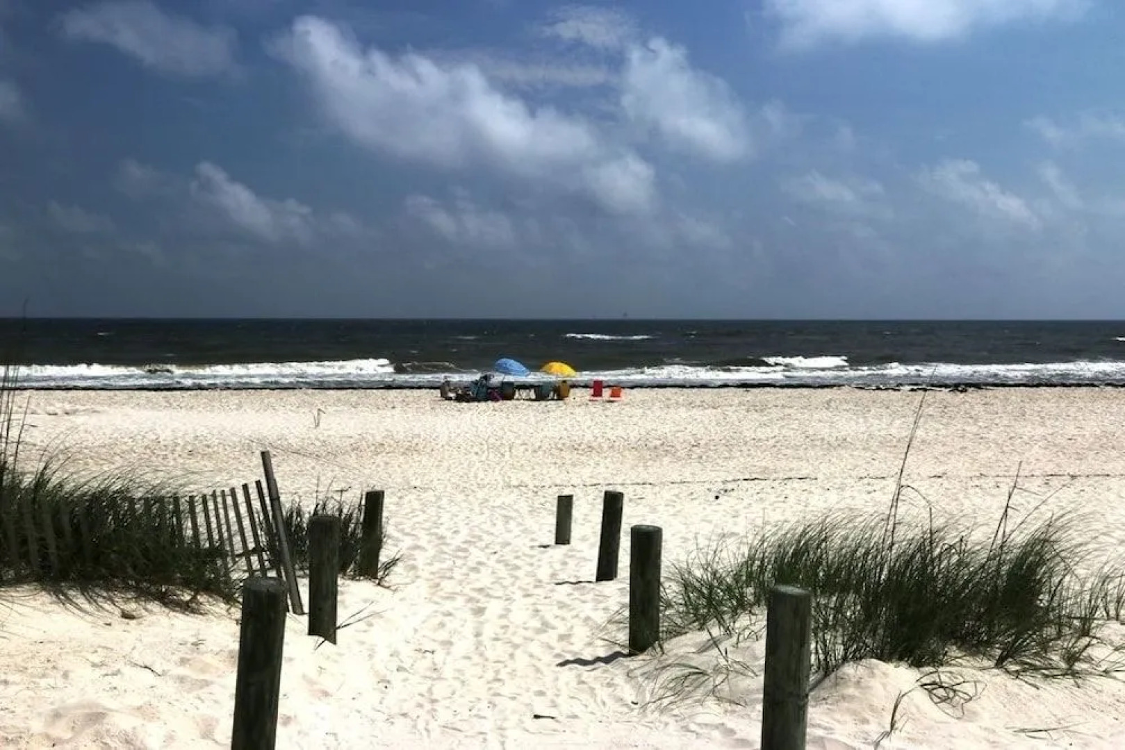 Sea Turtle by RedAwning