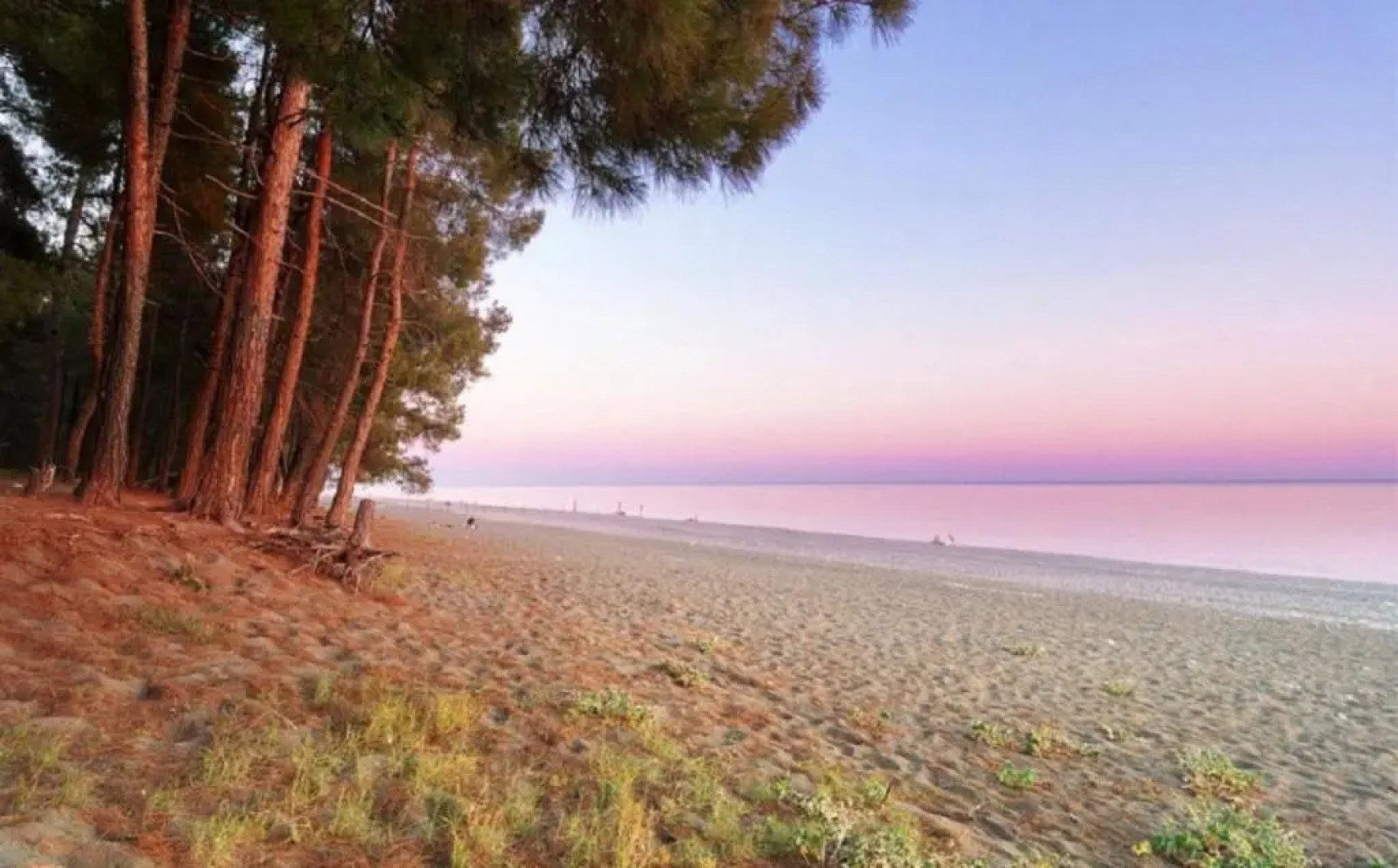 Apartment on Gochua 17