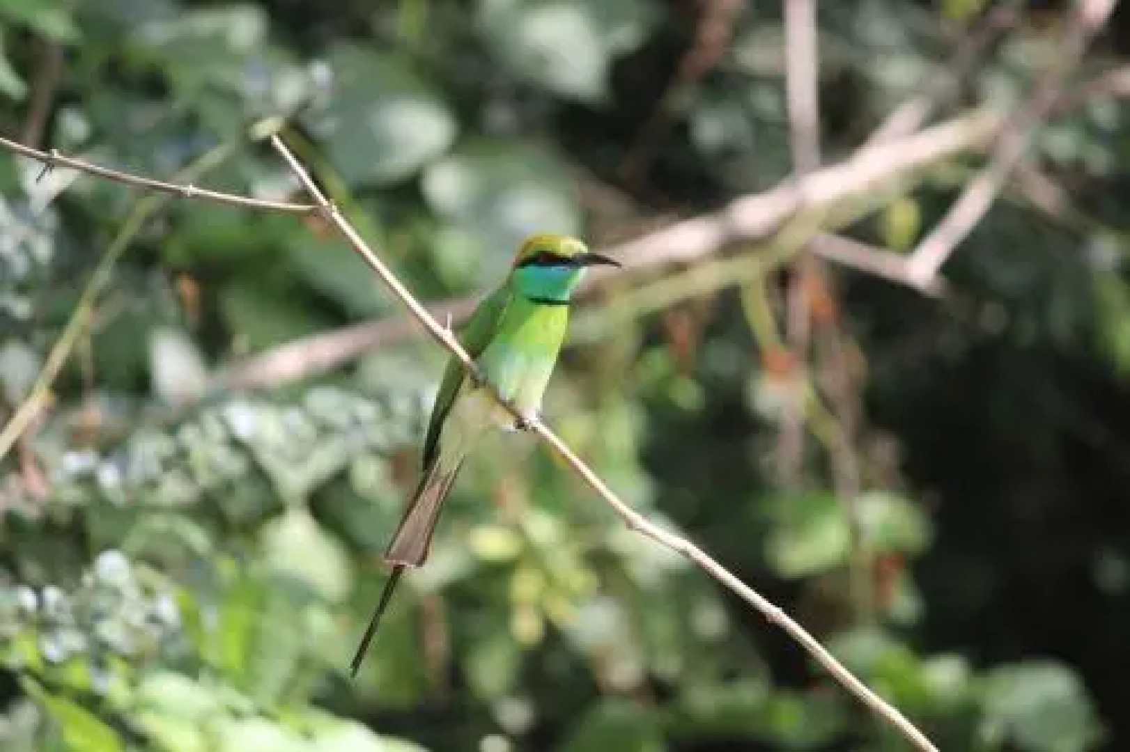 kataragama home stay