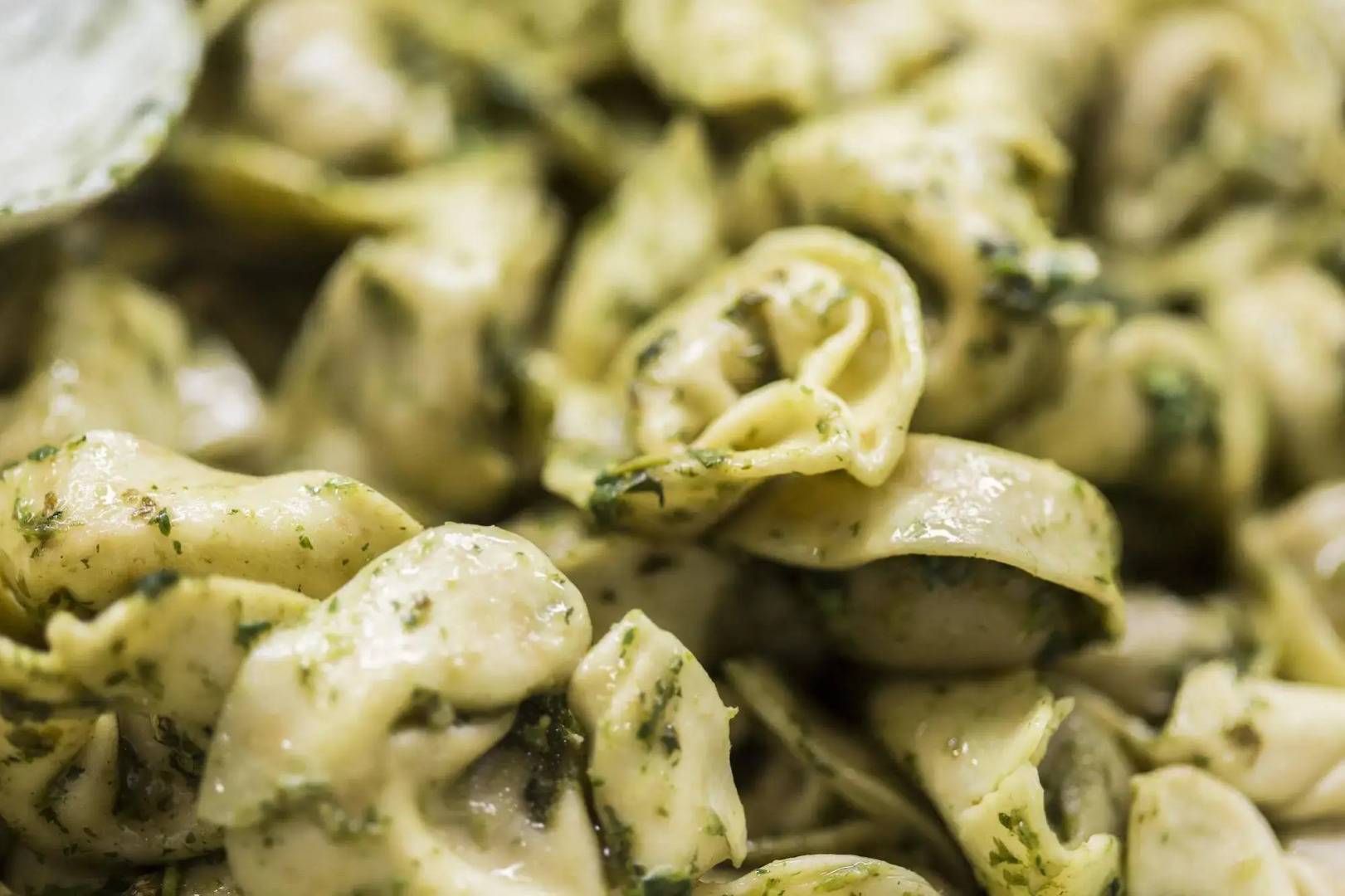 Astoria Galilee Hotel