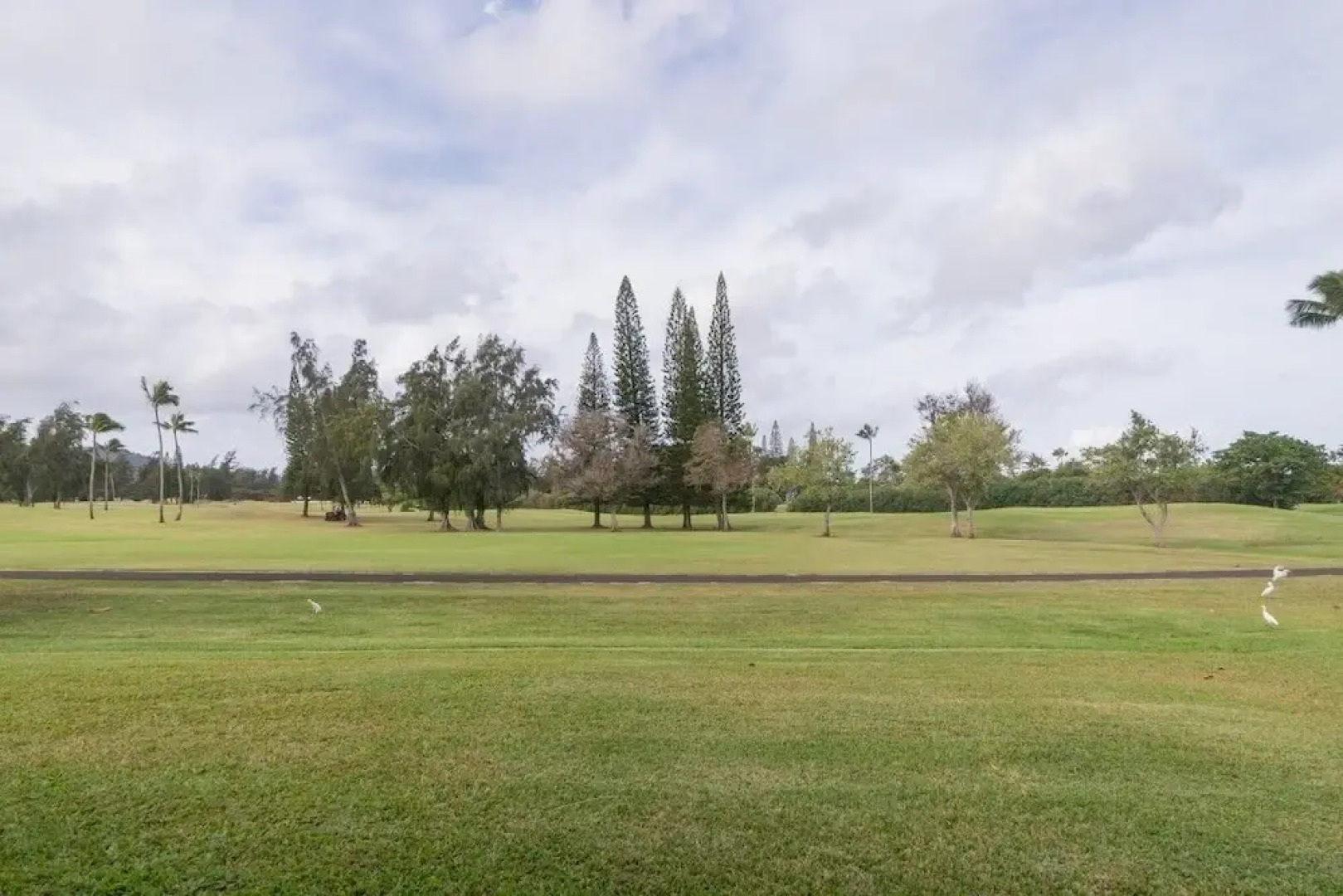 Bird of Paradise - 2 Br Condo