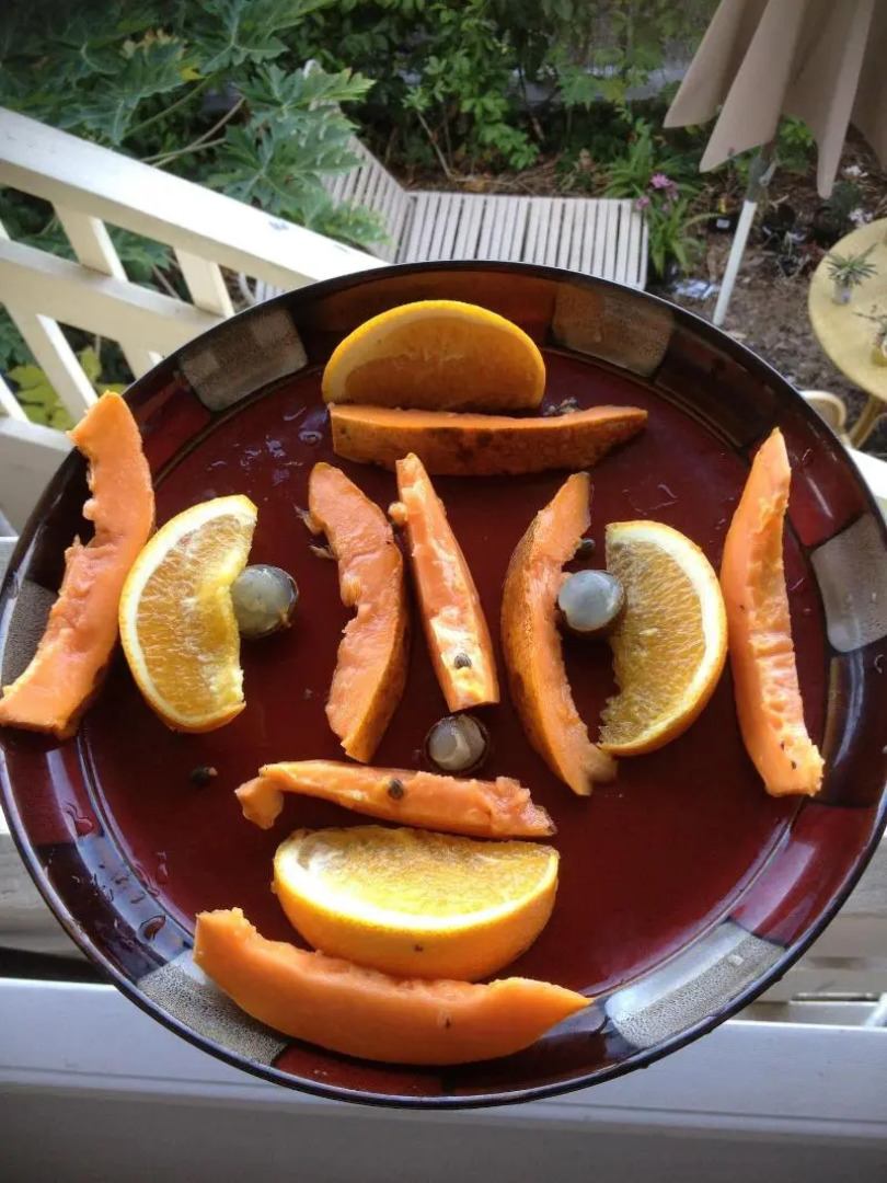 Kona Hawaii Guesthouse