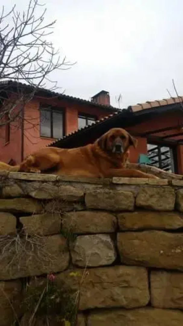 Hostal Rural Casa Pedro