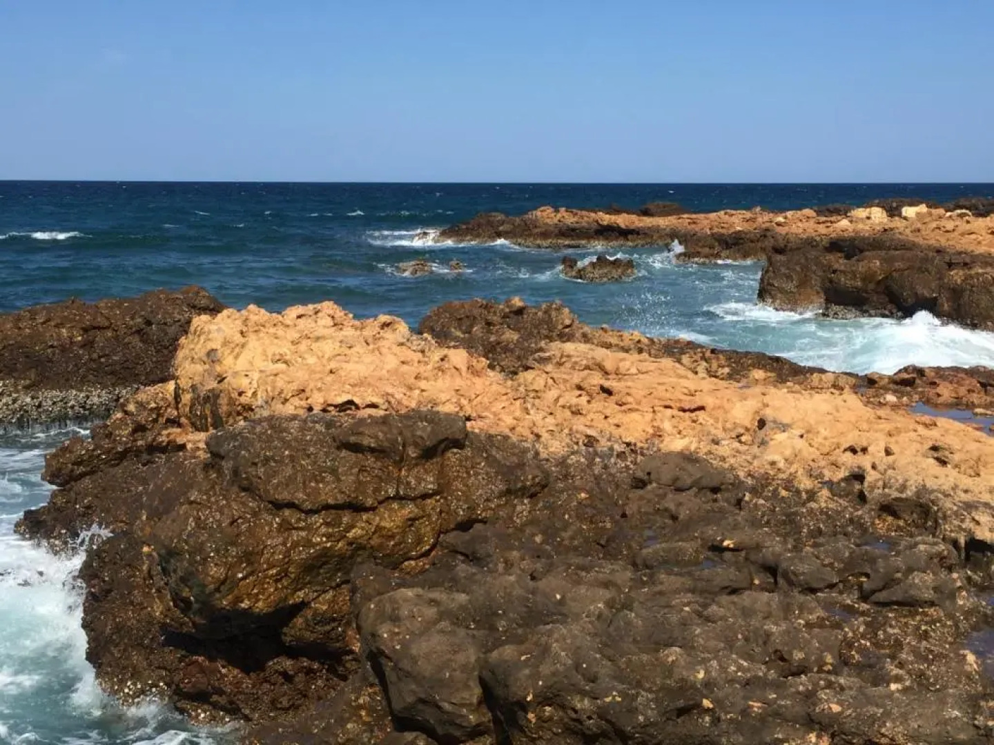 Resort Ras Al Hadd Holiday