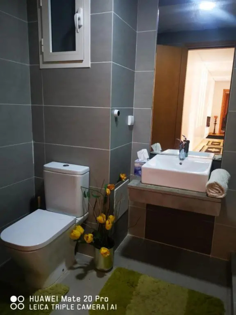 Les quais verts 4 Ibis