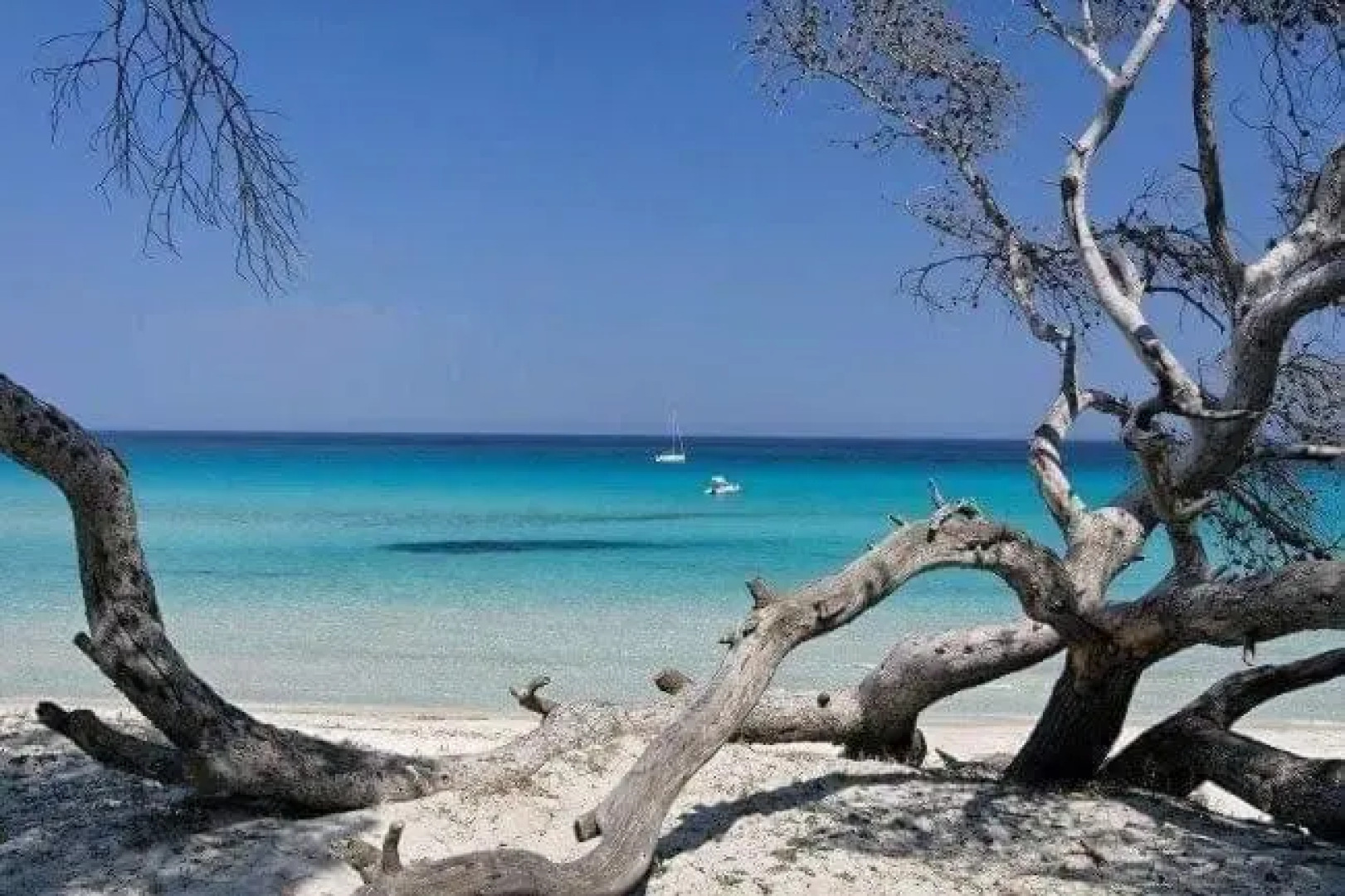 Coin Tranquille a 2km de Saint-Florent