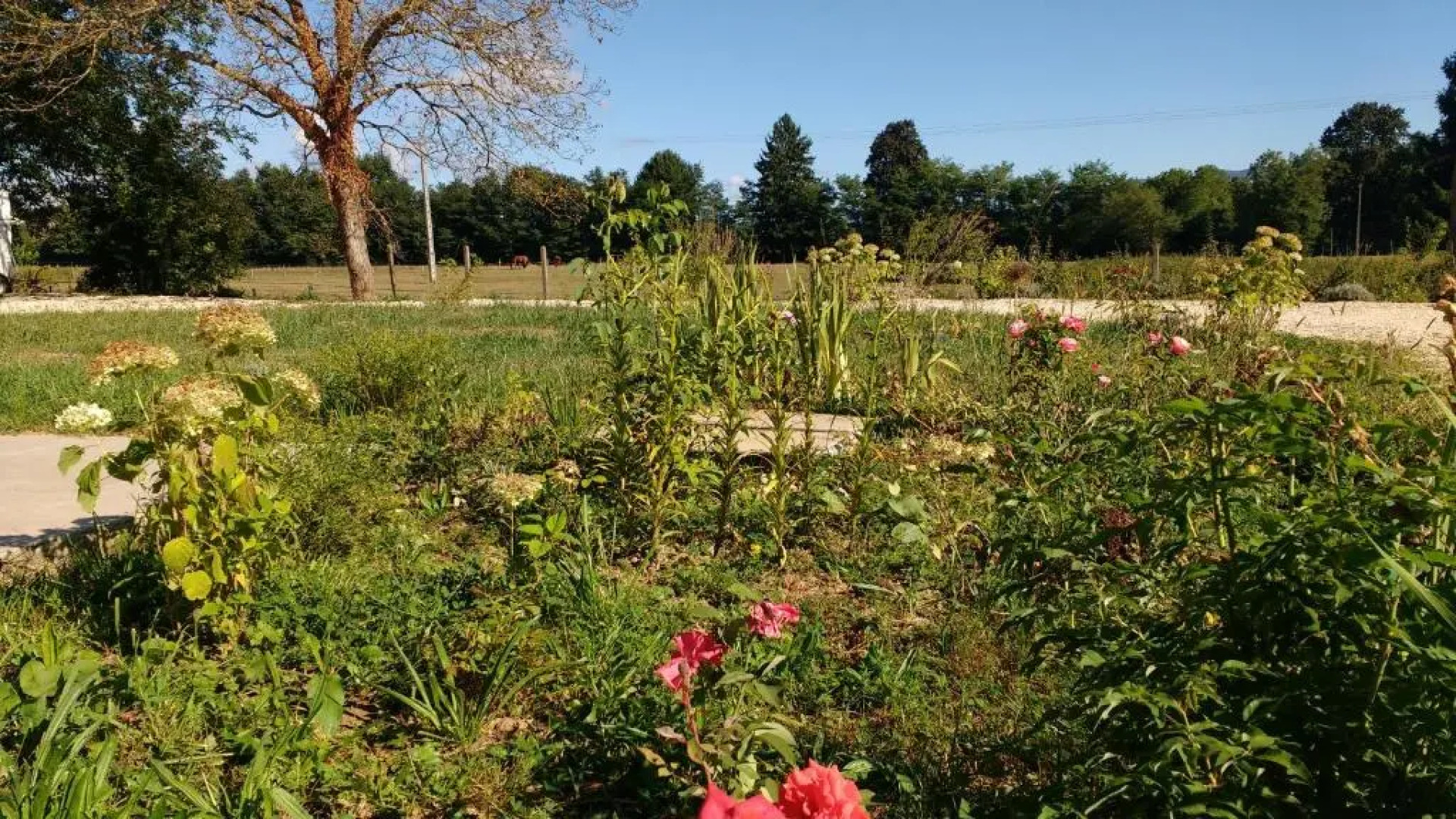 Hôtel - Gîte de Pressins