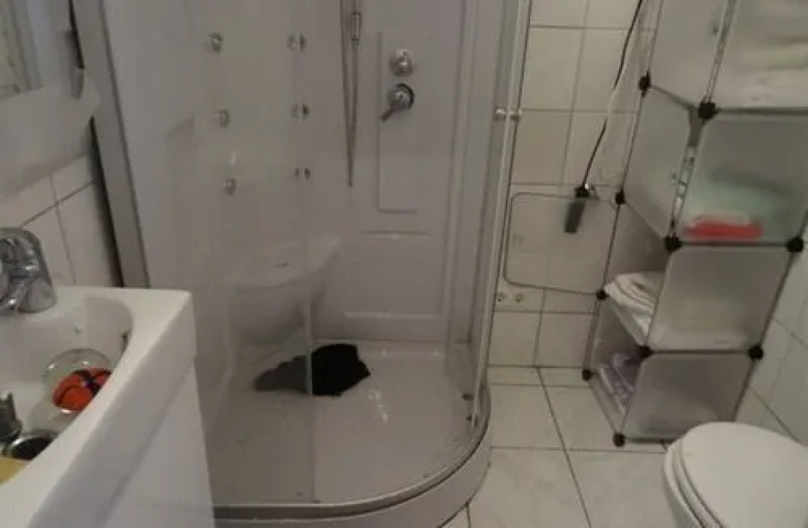 2-Zimmer am Nussensee mit Bergblick