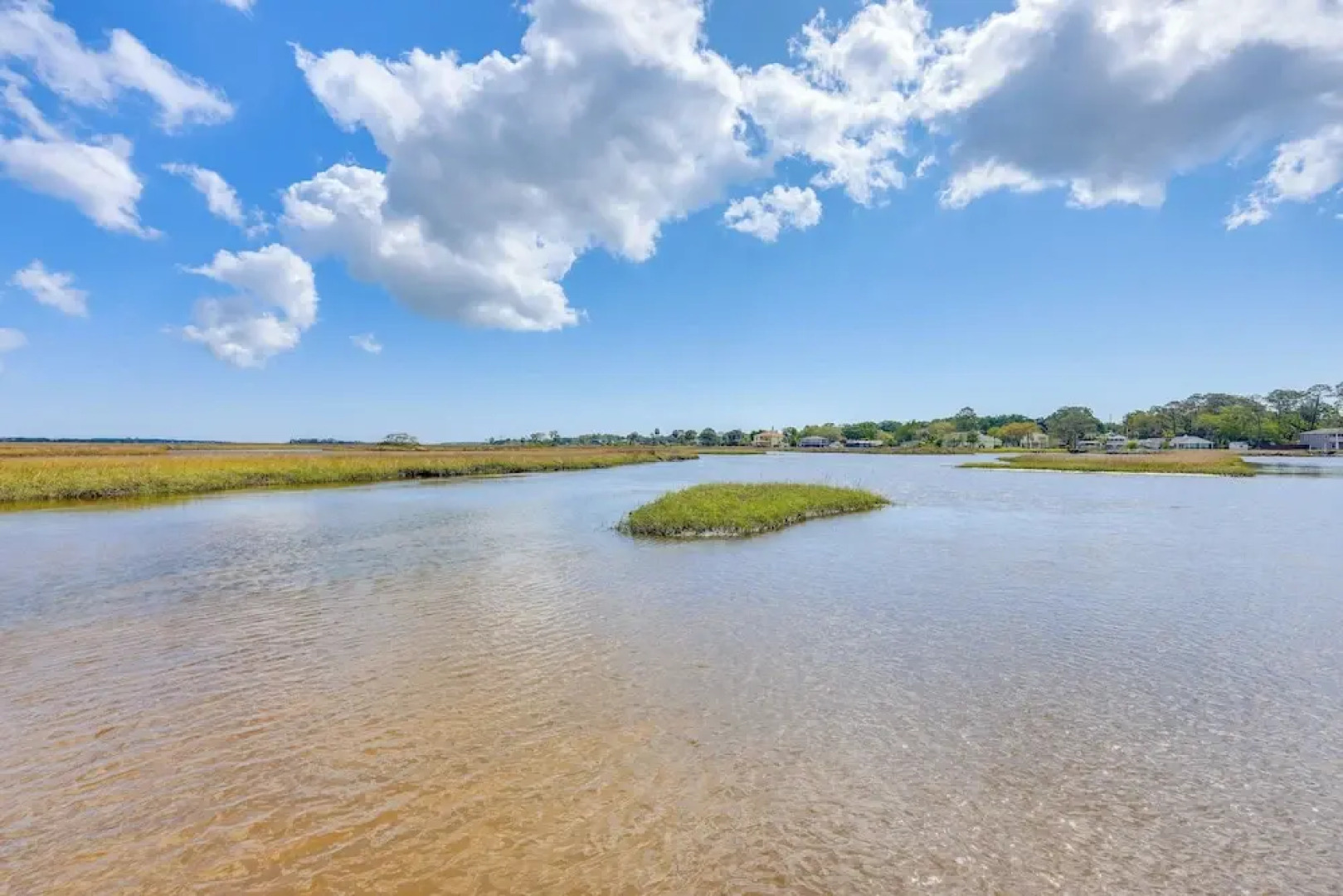 Fish & Bird Watch: Waterfront Jacksonville Gem