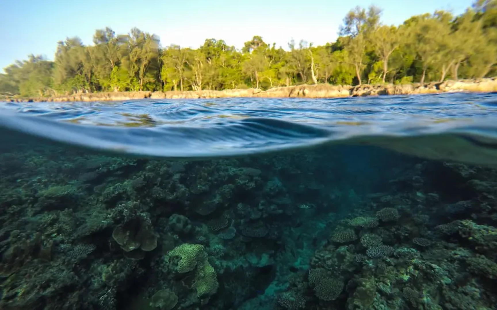 Divi's Boutique Retreat