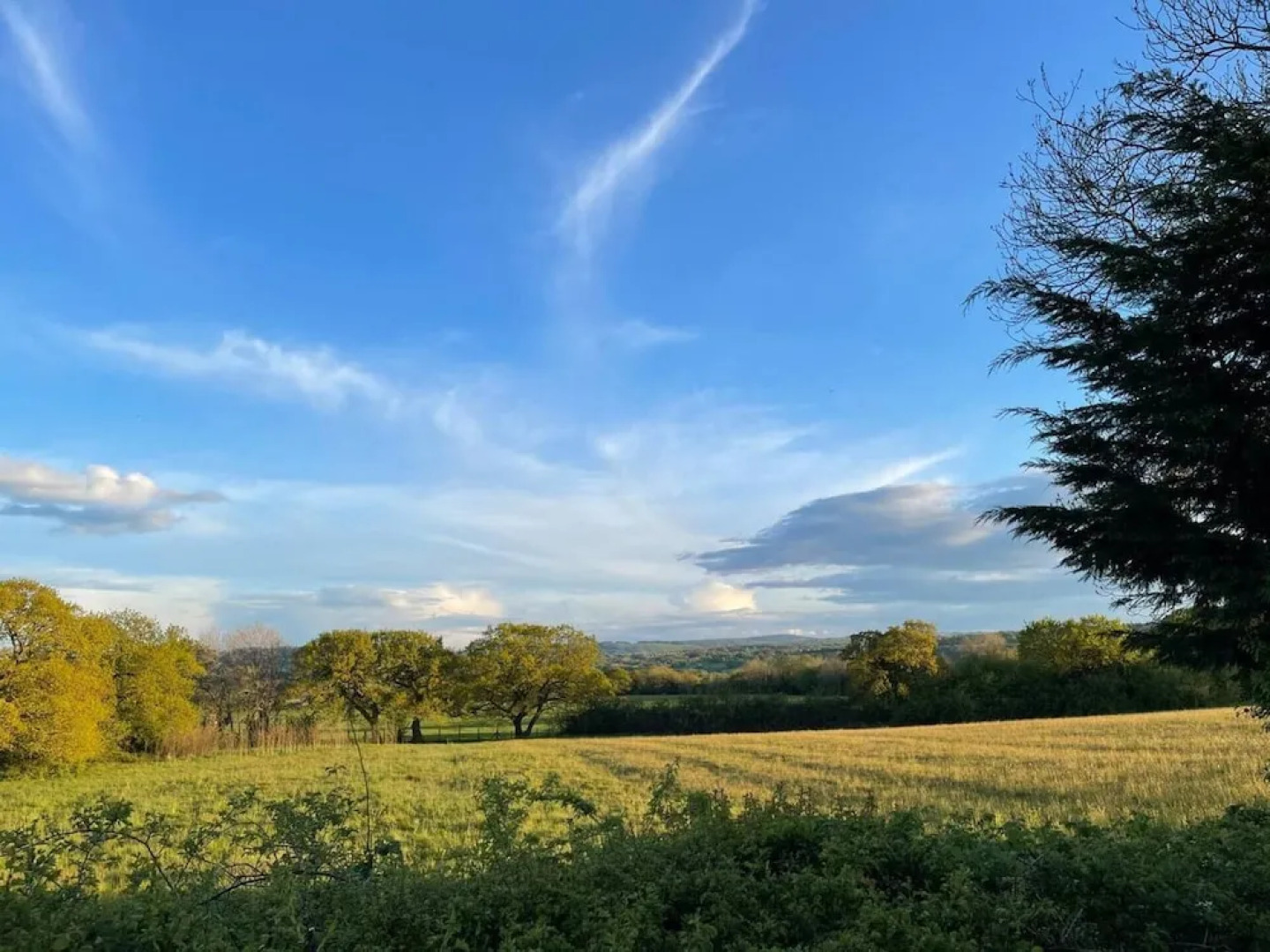 Woodlands Lodge - Come and Enjoy the Good Life