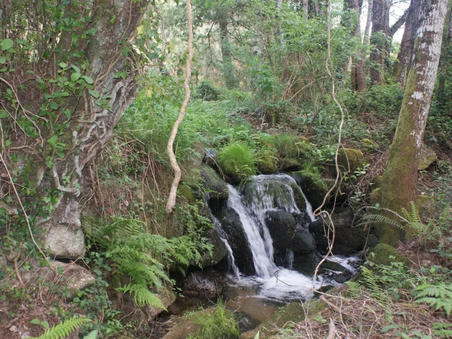 Spacious Holiday Home on Estate Near Covas