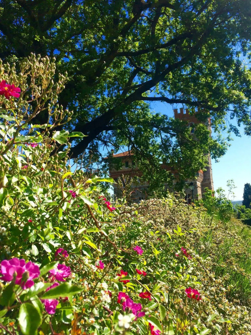 Agriturismo Tenuta Lupinari