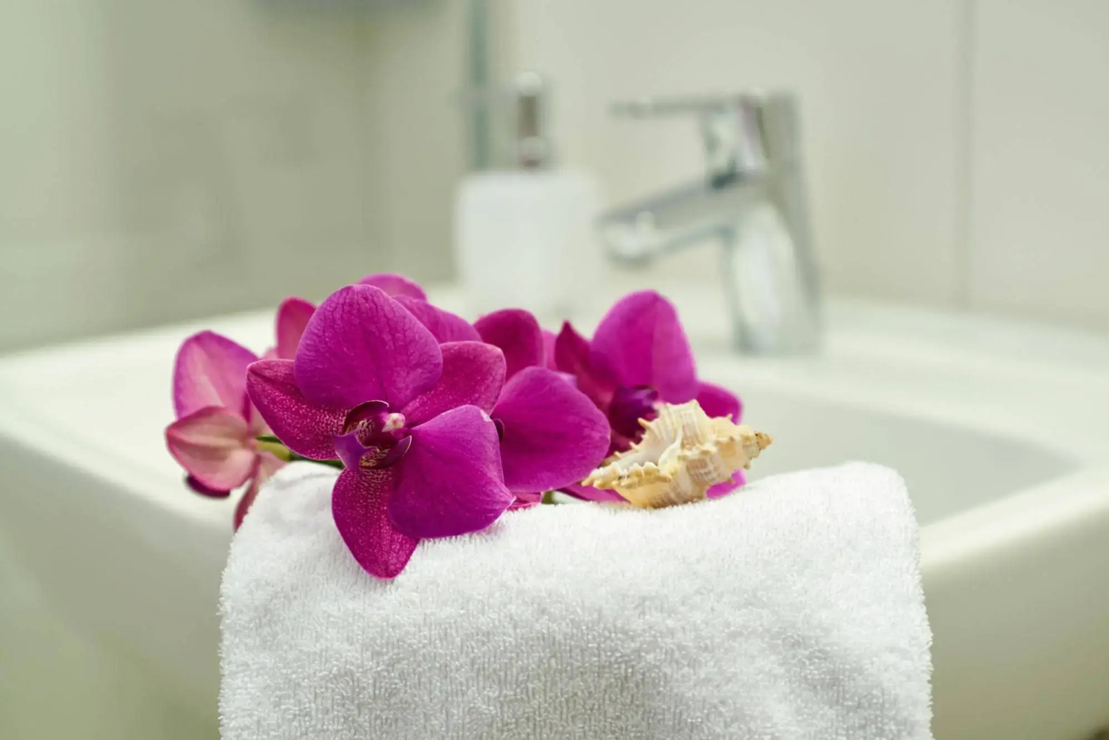 Apparthotel Minerva Diana Octavia