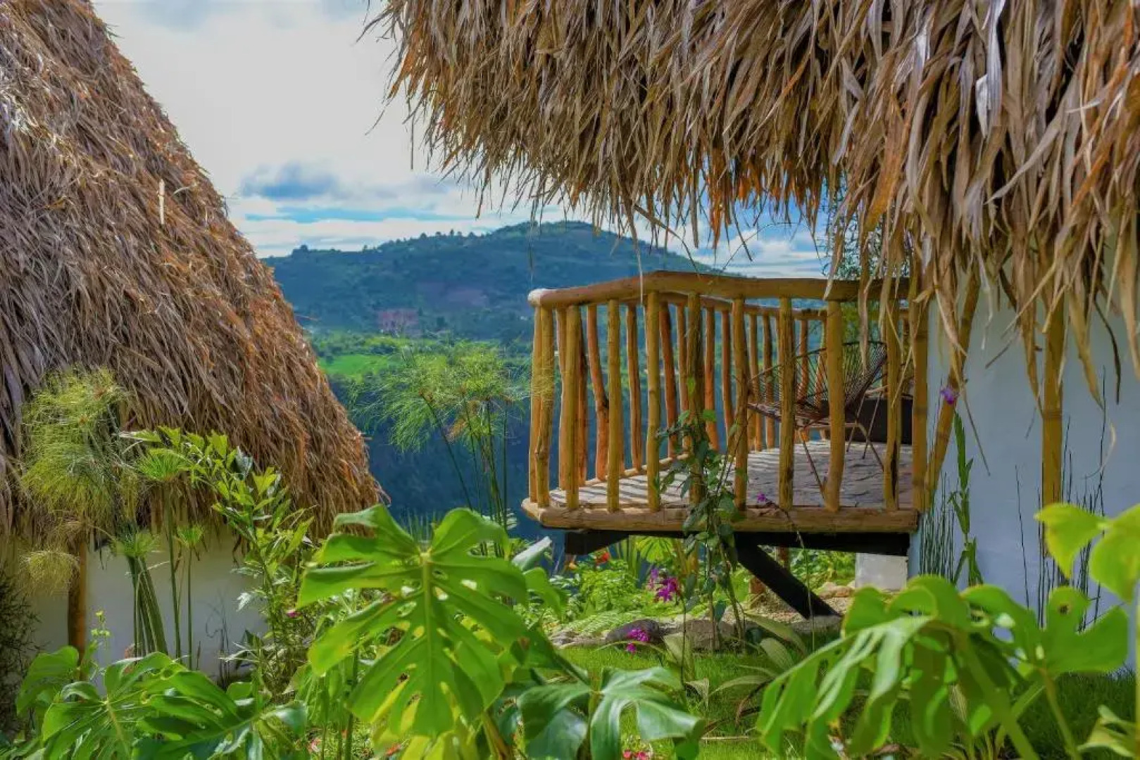 Ceiba by Masaya Collection