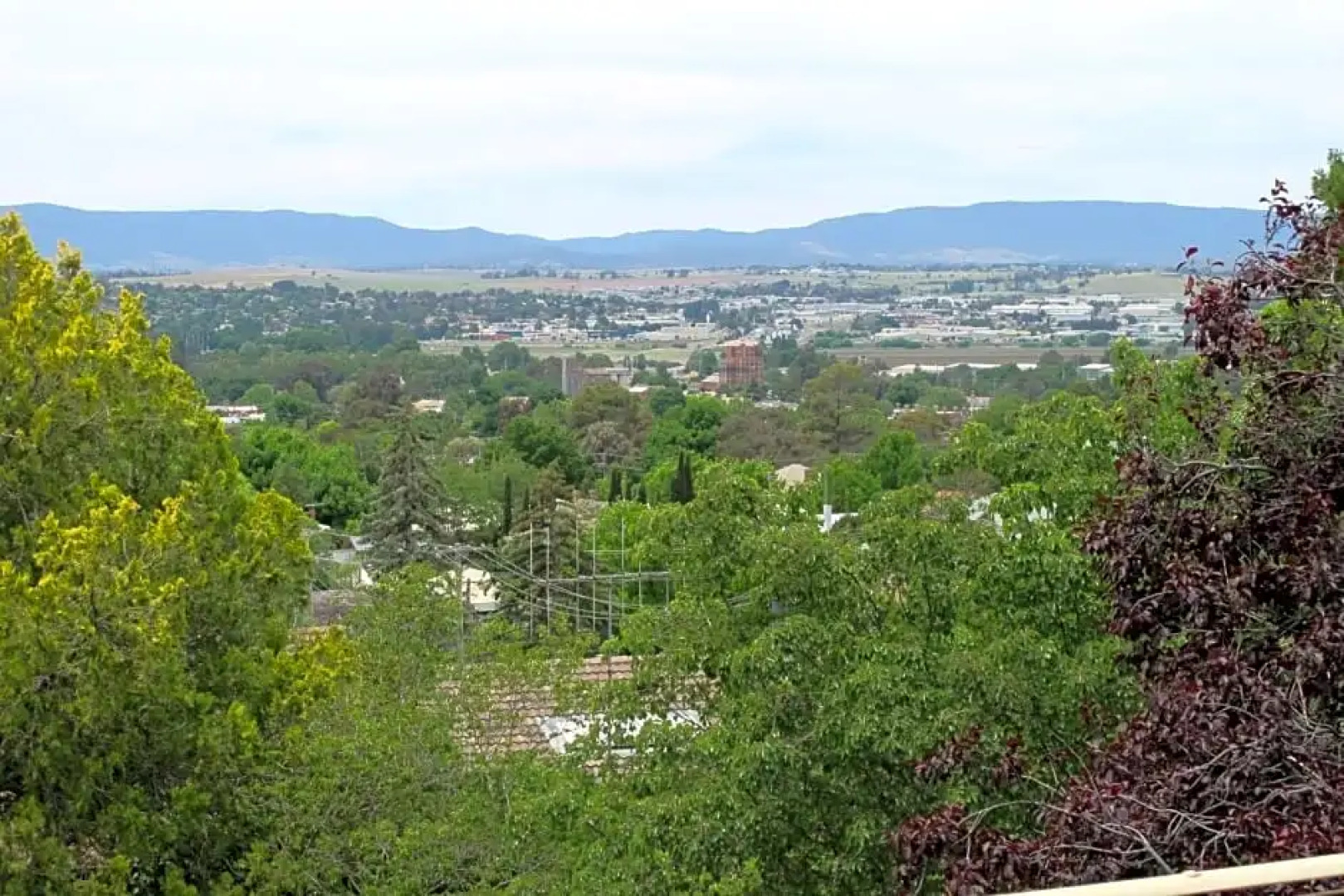 Holmhurst Guest House