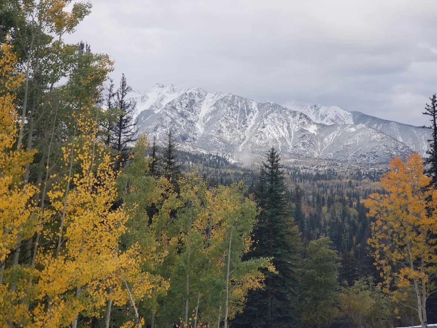 Cascade Village by The Ivy Group