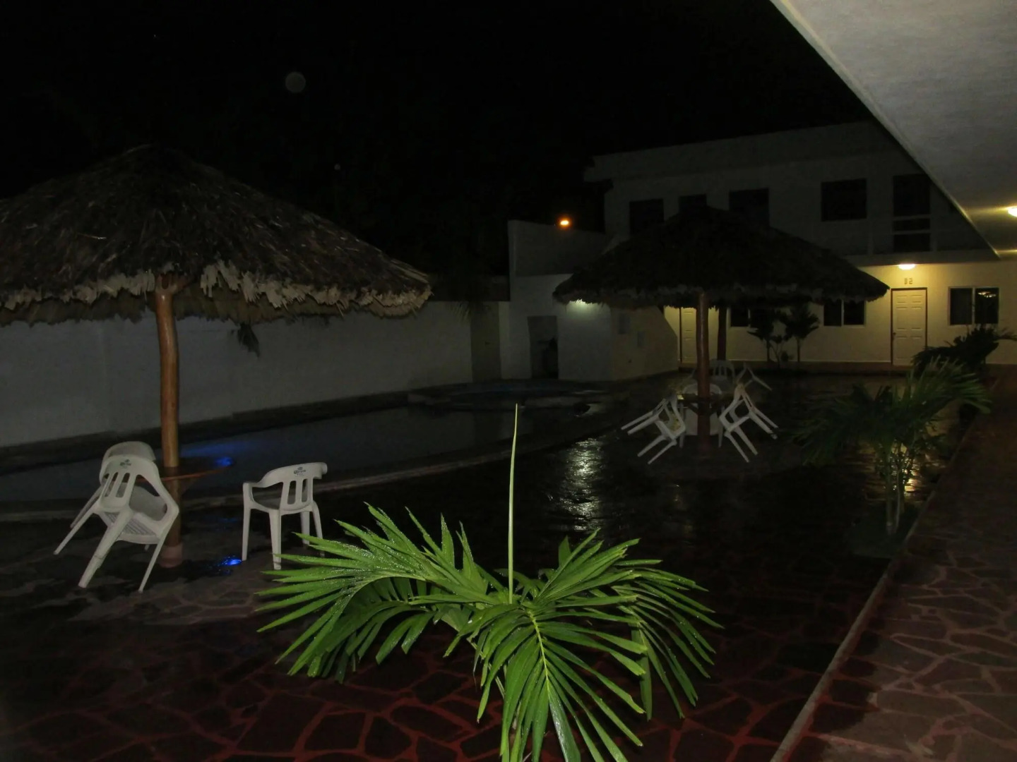 Hotel Albatros Palace