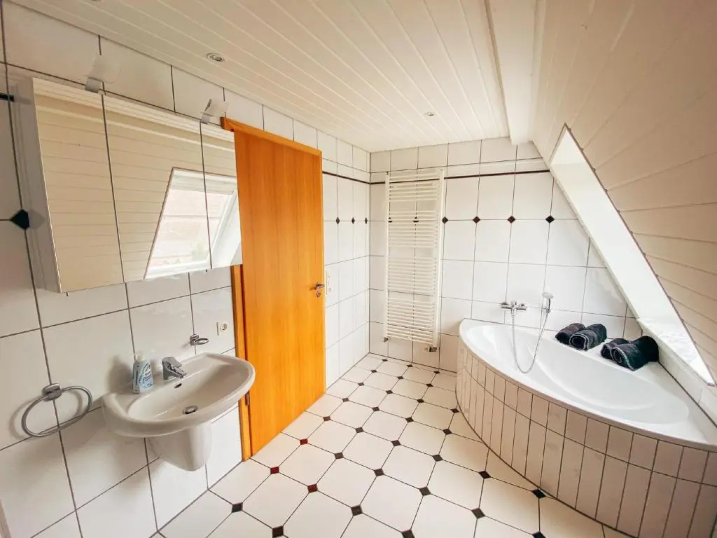Rheinloft 3 - Große Giebelwohnung mit Dachterrassen an der Rheinpromenade